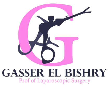 Dr. Gasser Elbishry